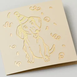 Cricut Papier Et Cartes|La Gamme Explore^Cartes à découper, collection Pastel- R40 (12unités)