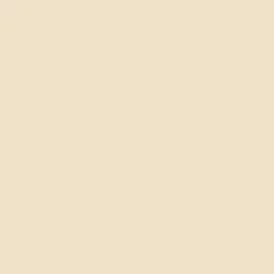 Cricut Vinyle|Matériaux^Collection Premium Vinyl™, Variety-Amovible (12unités)