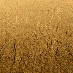 Cricut Vinyle^Collection Premium Vinyl™ Métallique texturé, Métaux précieux - Permanent