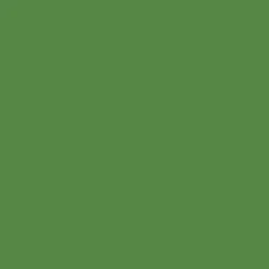 Cricut Vinyle^Joy™ Smart Vinyl™ - Amovible, Vert vif
