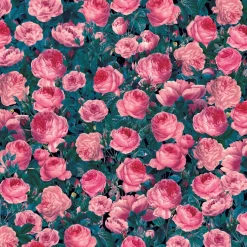 Cricut Infusible Ink|Matériaux^Feuilles de transfert Infusible Ink™ à motifs, Rose cent-feuilles