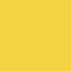 Cricut Matériaux|Infusible Ink^INF INK SLD JAUNE VéRITABLE 12 X 12(2)