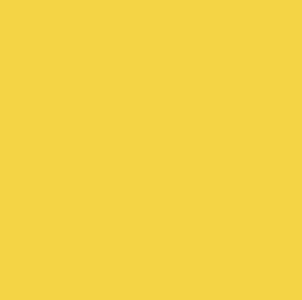 Cricut Matériaux|Infusible Ink^INF INK SLD JAUNE VéRITABLE 12 X 12(2)