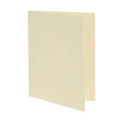 Cricut Papier Et Cartes|La Gamme Joy^Inserts de cartes Joy™, Crême/Or métallisé