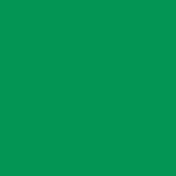 Cricut Vinyle^Smart Vinyl™ - Amovible, Herbe (3,7m)