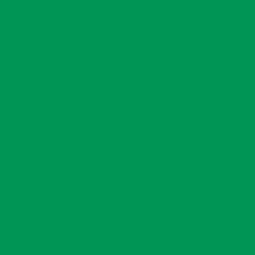 Cricut Vinyle|Gamme Smart Materials^Smart Vinyl™ - Amovible (0,9m / 3 pi)