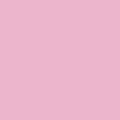 Cricut Thermocollant (htv)^Thermocollant économique (1,5 m /  5 pi), Rose