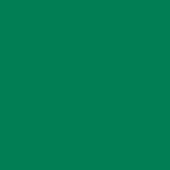 Cricut Exclusivité Web^Vinyle permanent sans tapis Smart Vinyl™ Joy Xtra™ (1,8 m / 6 pi), Herbe