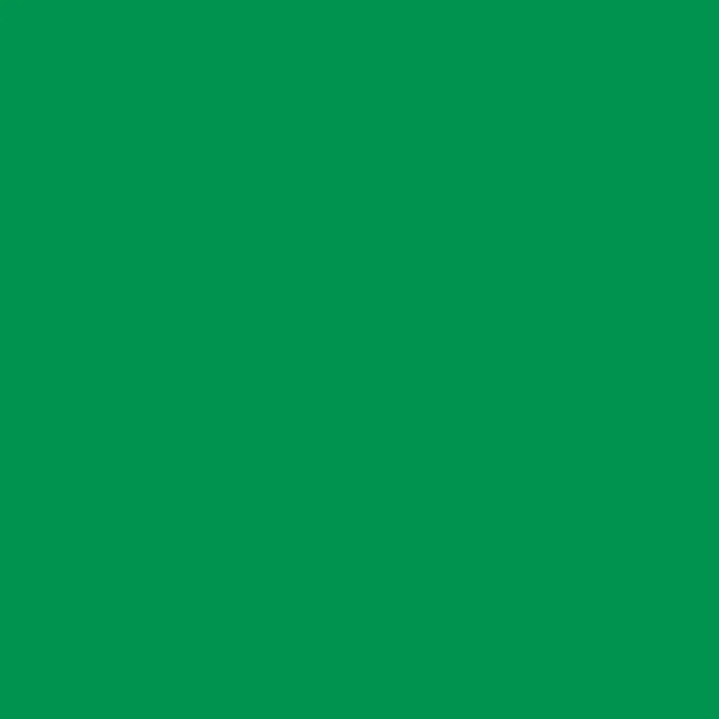 Cricut Thermocollant (htv)^Vinyle thermocollant sans tapis Smart Iron-On™ (0,9 m / 3 pi), Herbe